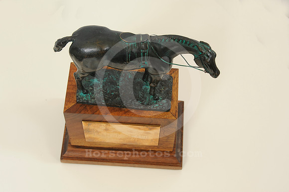 eclipseawardtrophy30_hr
