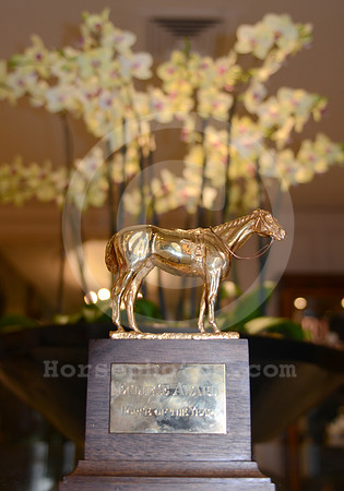 eclipseawardtrophy27_hr
