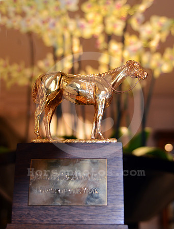 eclipseawardtrophy26_hr