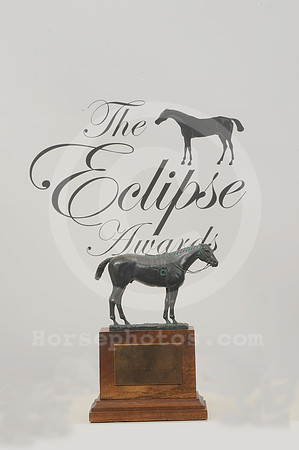 eclipseawardtrophy28_hr