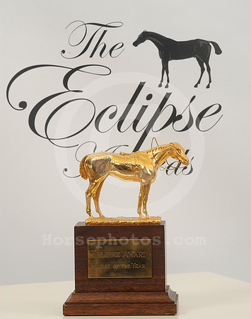 eclipse_trophy25_hr