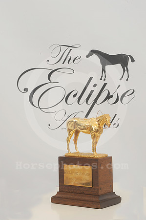 eclipseawardtrophy37_hr