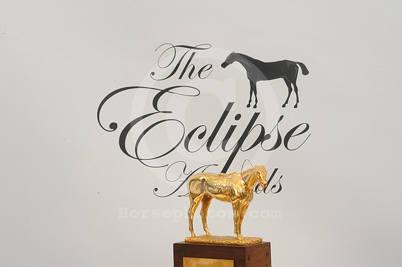 eclipseawardtrophy33_hr