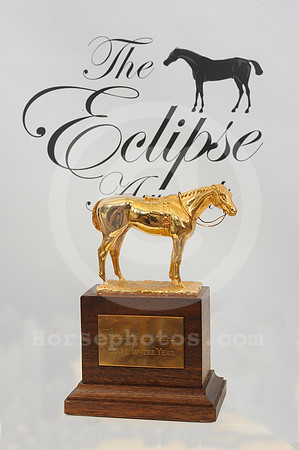 eclipseawardtrophy29_hr