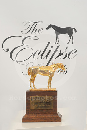 eclipseawardtrophy34_hr