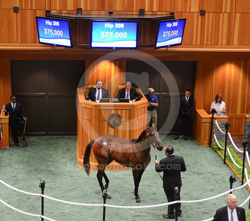 nyb_8.14_hip306_01_hr