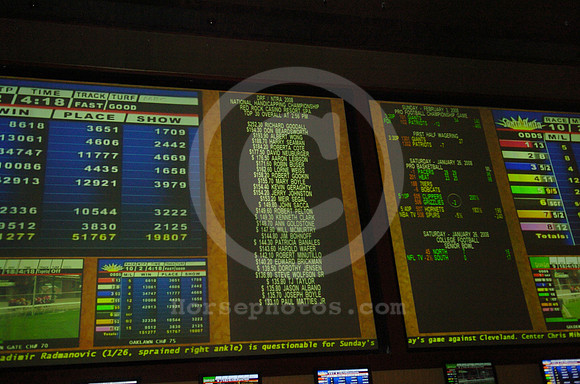 nhc08_sportsbook06_hr