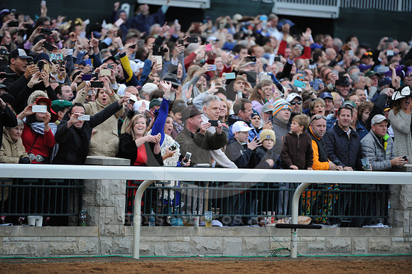 bc15crowd10_bn