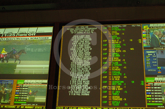 nhc08_sportsbook05_hr
