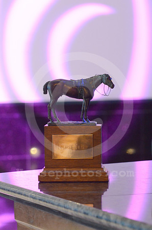 eclipse17_eclipsetrophy02_hr