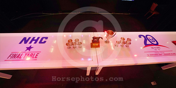 nhc19_finaltable12_hr
