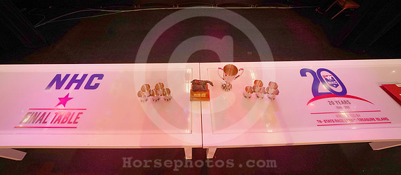 nhc19_finaltable11_hr