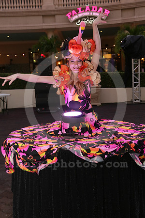 eclipse15_pre_party04_jb
