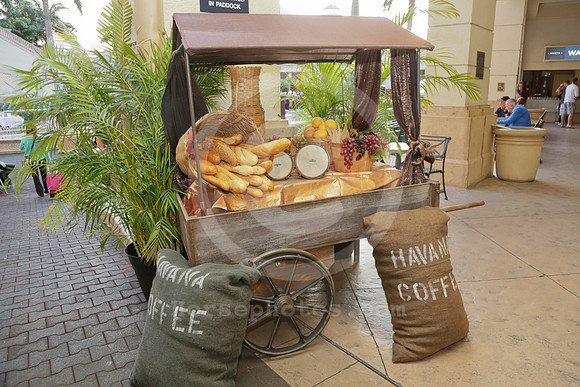 eclipse15_coffeedisplay01_hr