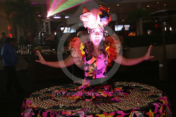 eclipse15_pre_party18_jb