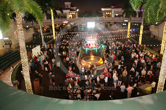 eclipse15_pre_party01_jb