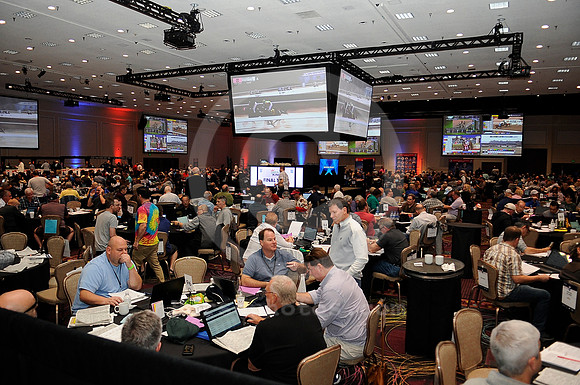 nhc_2020_horseplayers06
