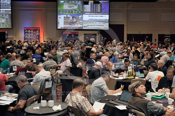 nhc_2020_horseplayers08