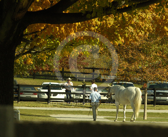 fasigtipton_sale04_hr