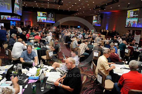 nhc_2020_horseplayers11