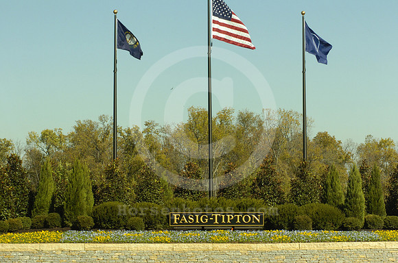 fasigtipton01_hr