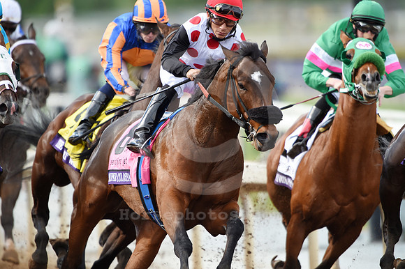 bc14ju36_ljp