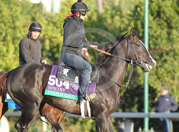 bahamiansquall04a_ljp