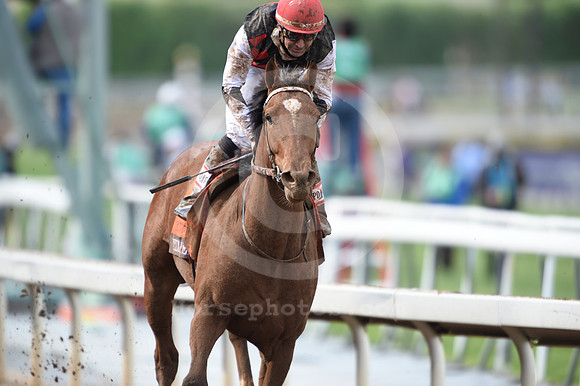 bc14ju33_ljp