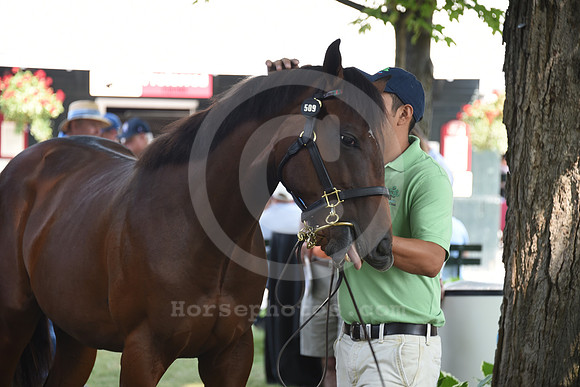 ftny2015ambiance9_rb