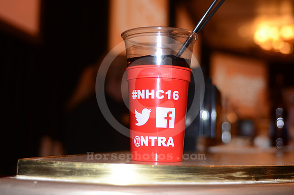 nhc15_nhc_cup01_hr