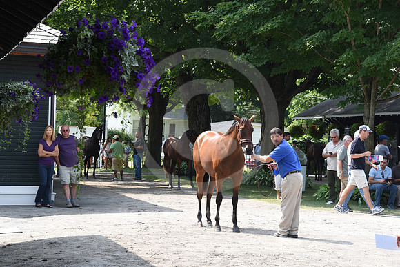 ftny2015ambiance15_rb