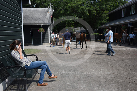 ftny2015ambiance24_rb