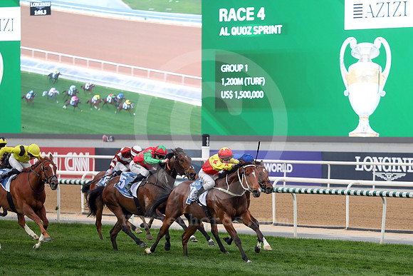 California Spangle537MEYDAN