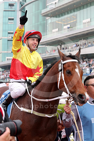 California Spangle541MEYDAN