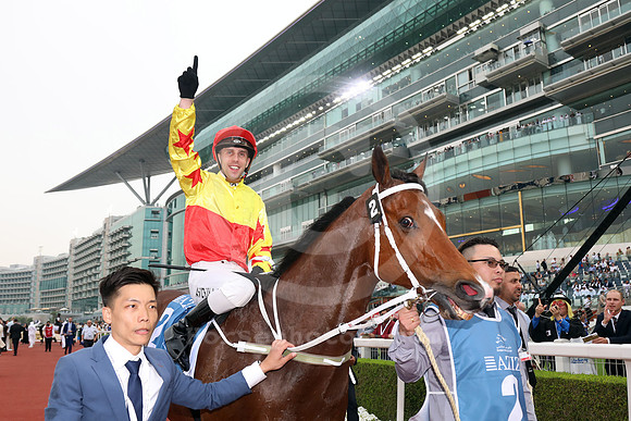 California Spangle543MEYDAN