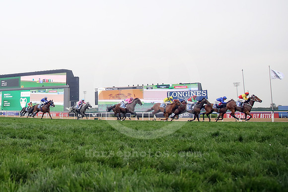 California Spangle540MEYDAN