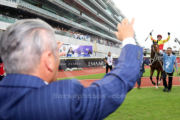 California Spangle545MEYDAN
