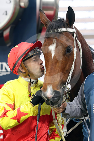 California Spangle548MEYDAN