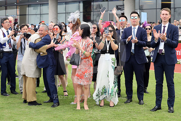 California Spangle544MEYDAN