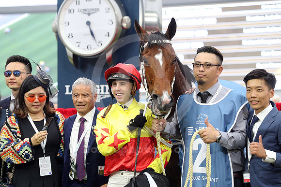 California Spangle549MEYDAN