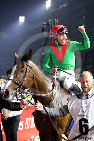 Facteur Cheval587MEYDAN