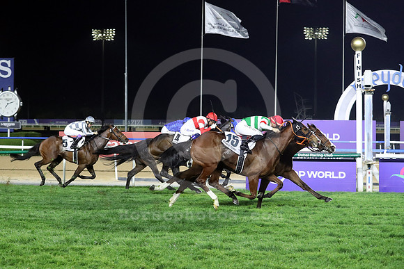 Facteur Cheval586MEYDAN