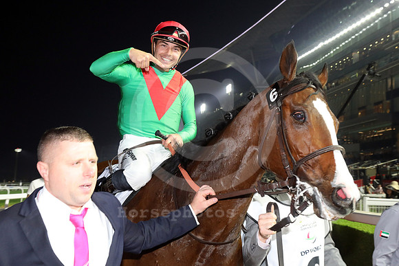 Facteur Cheval588MEYDAN