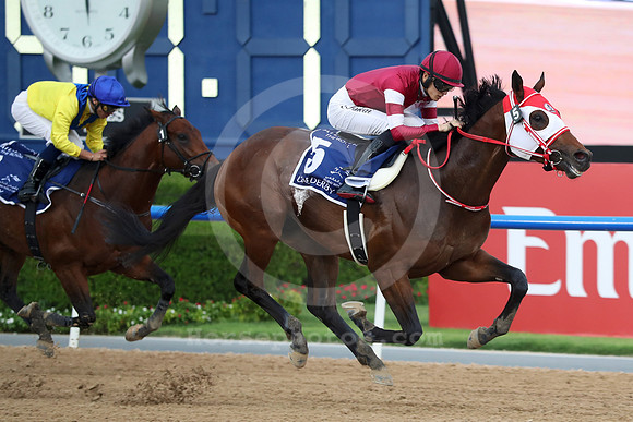 Forever Young555MEYDAN