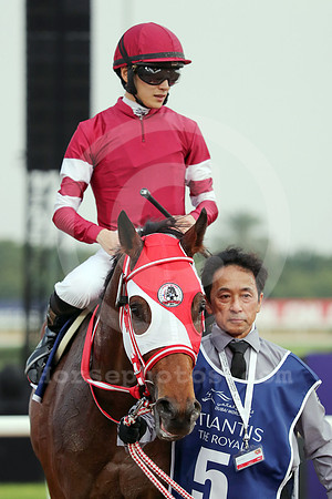 Forever Young558MEYDAN