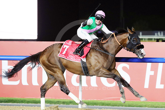 Laurel River612MEYDAN