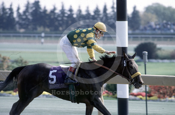 BC96jf02