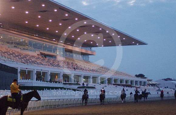 arlington_grandstand01_hr