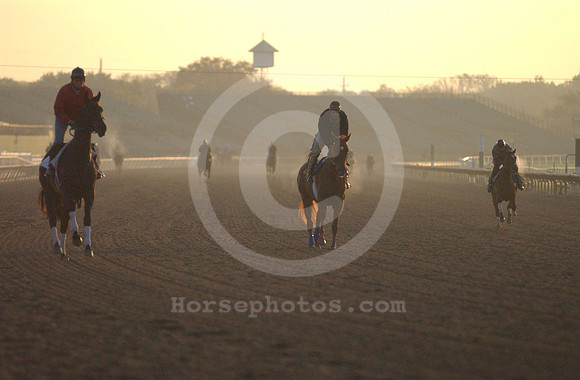 arlington_park_morning01_hr
