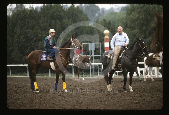 bc87cl_vanberg_alysheba01